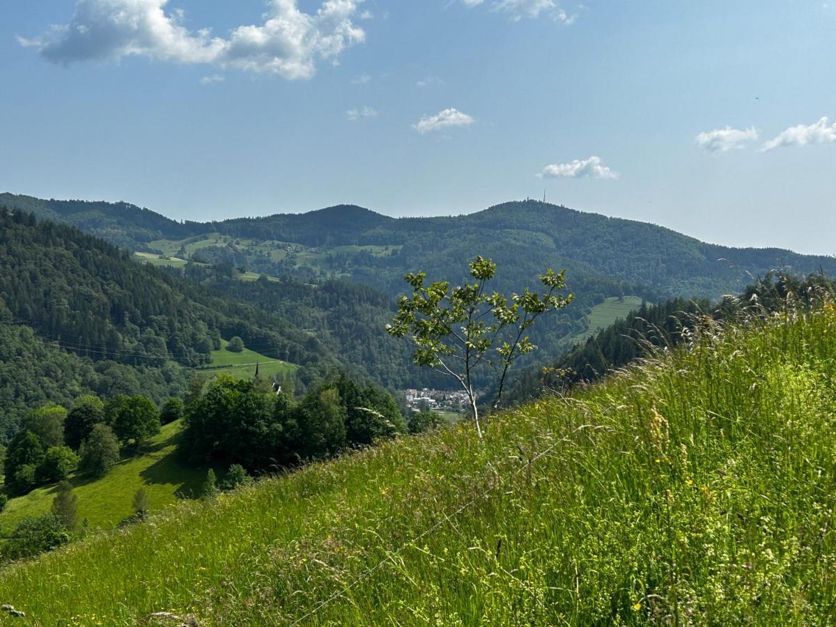 Cella Apartments **** Zell im Wiesenthal المظهر الخارجي الصورة